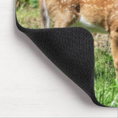 Tapis De Souris Faune localisée (Coin)
