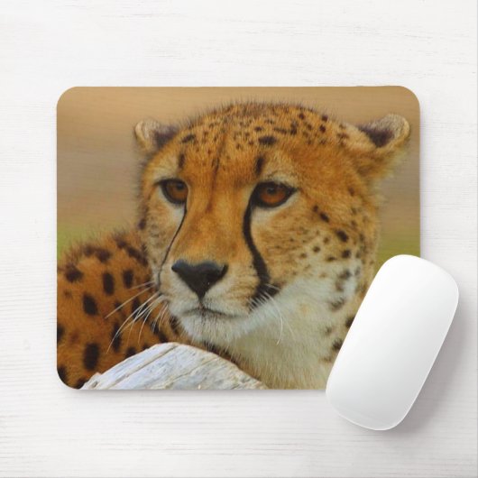 Tapis De Souris Faune Mousepad de visage de guépard (Avec souris)