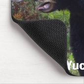 Tapis de souris faune ours noir (Coin)