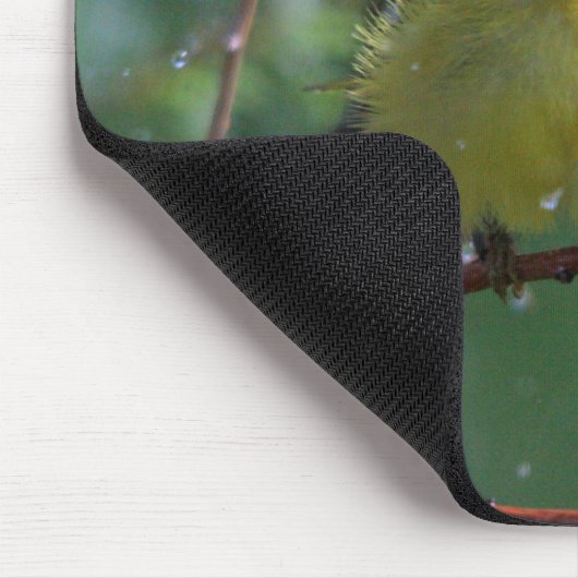 Tapis De Souris Fauvette (Coin)