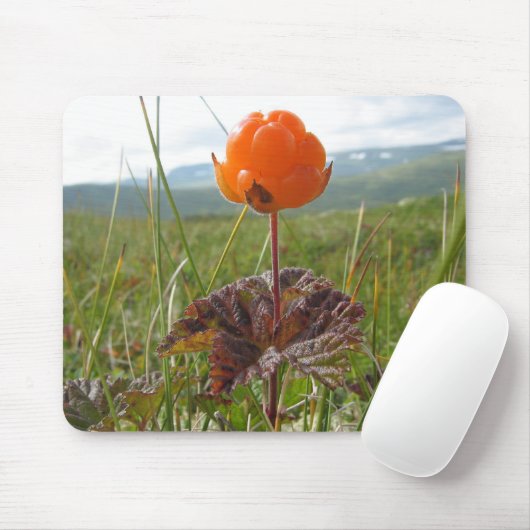 Tapis De Souris Faux mûrier Mousepad (Avec souris)