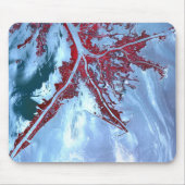 Tapis De Souris Faux satellite (Devant)