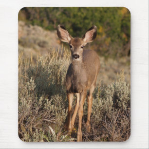 Tapis De Souris Fawn Mousepad