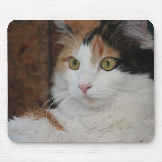 Tapis De Souris Feline mermerisé (Devant)
