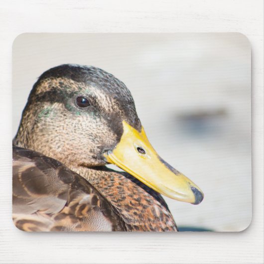 Tapis De Souris Femme Mallard (Devant)
