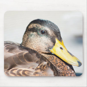 Tapis De Souris Femme Mallard