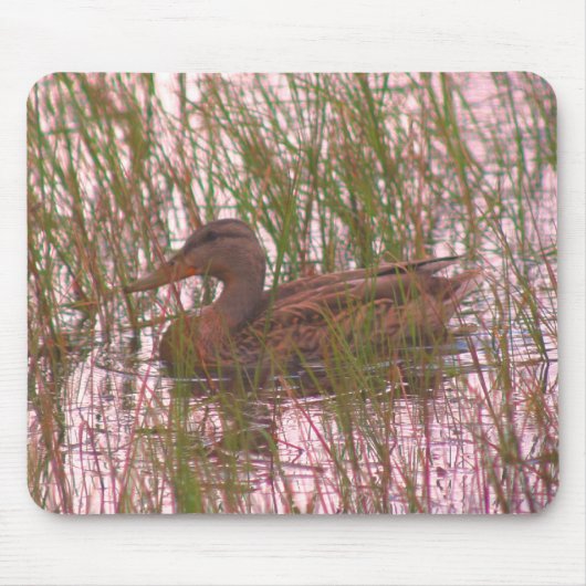 Tapis De Souris Femme Mallard Duck Nature (Devant)