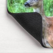 Tapis De Souris Femme Mule Deer sur Ranch Faune Photo (Coin)