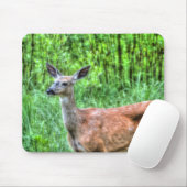 Tapis De Souris Femme Mule Deer sur Ranch Faune Photo (Avec souris)