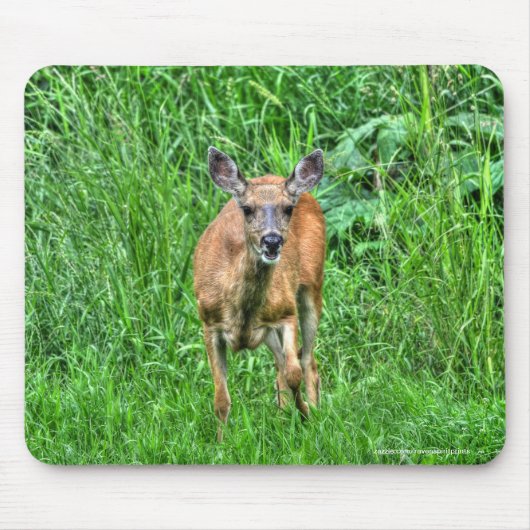 Tapis De Souris Femme Mule Deer sur Ranch Faune Photo (Devant)