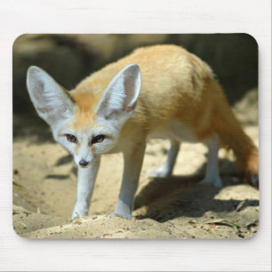 Tapis De Souris Fennec renx