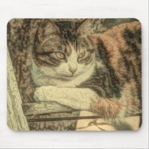 Tapis De Souris Ferme amoureux des chats rustique calico chat