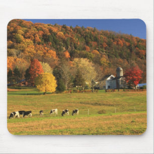 Tapis De Souris Ferme du Mont Holyoke en automne