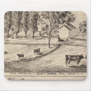 Tapis De Souris Ferme Stock à Orwell dans le Vermont