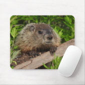 Tapis De Souris Fermer Bébé mignonne Bois de la marmotte (Avec souris)