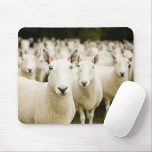 Tapis De Souris Fermes   Troupeau de moutons