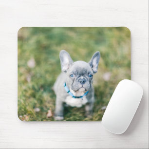 Tapis De Souris Fermeture d'un chien de taureau français
