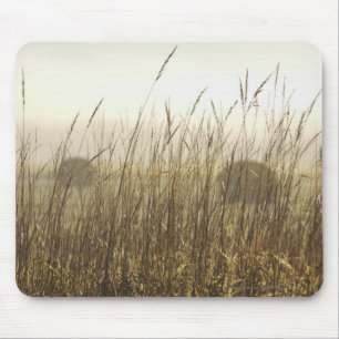 Tapis De Souris Fermez-vous de la photographie de blé