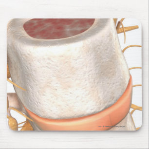 Tapis De Souris Fermez-vous d'un disque invertebral dans l'épine