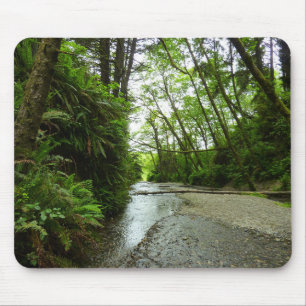 Tapis De Souris Fern Canyon II au Parc national de Redwood