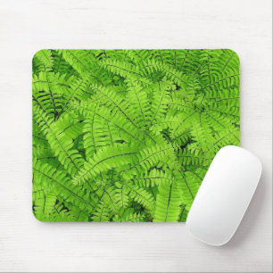 TAPIS DE SOURIS FERN/COUCHES DE CHEVEUX MAIDENHAIR DES FEUILLES DE