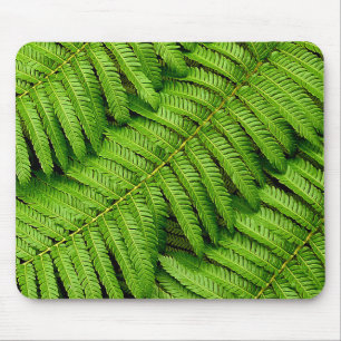 Tapis De Souris Fern Feuille
