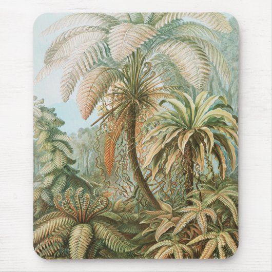 Tapis De Souris Ferns, Filicinae Laubfarne par Ernst Haeckel (Devant)