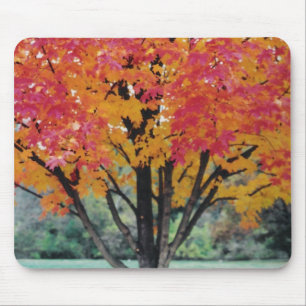 Tapis De Souris Feu d'automne