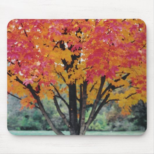 Tapis De Souris Feu d'automne (Devant)
