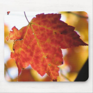 Tapis De Souris Feuil de chute