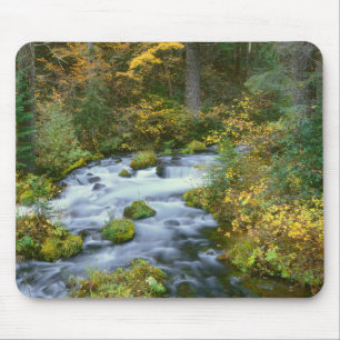 Tapis De Souris Feuillage d'automne et bordure de sapin de Douglas