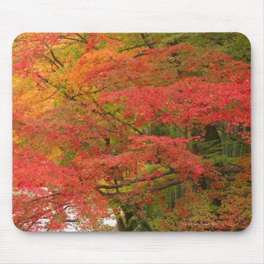 Tapis De Souris Feuillage d'automne japonais (Devant)