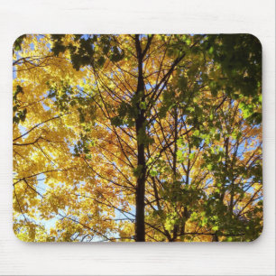 Tapis De Souris Feuillage d'automne jaune et vert