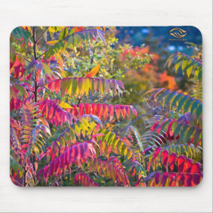 Tapis De Souris Feuillage du Vermont