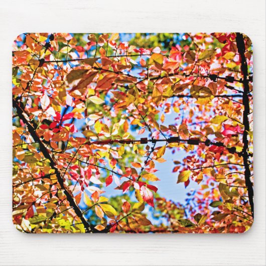 Tapis De Souris Feuille (Devant)