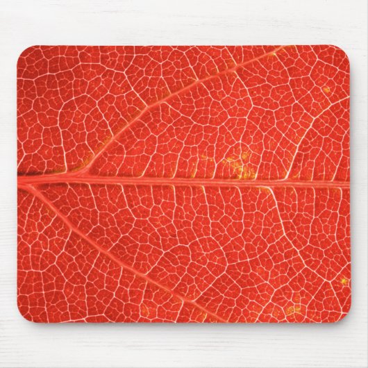 Tapis De Souris Feuille automnale (Devant)