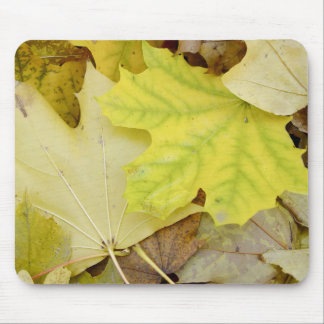 Tapis De Souris Feuille d'automne
