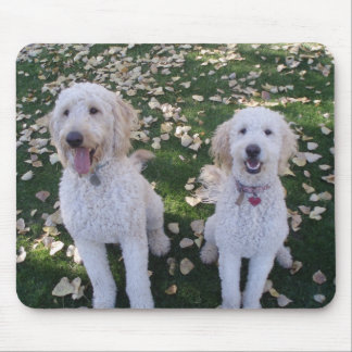 Tapis De Souris Feuille de GoldenDoodles en automne