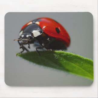 Tapis De Souris Feuille de Madame But On Edge Of