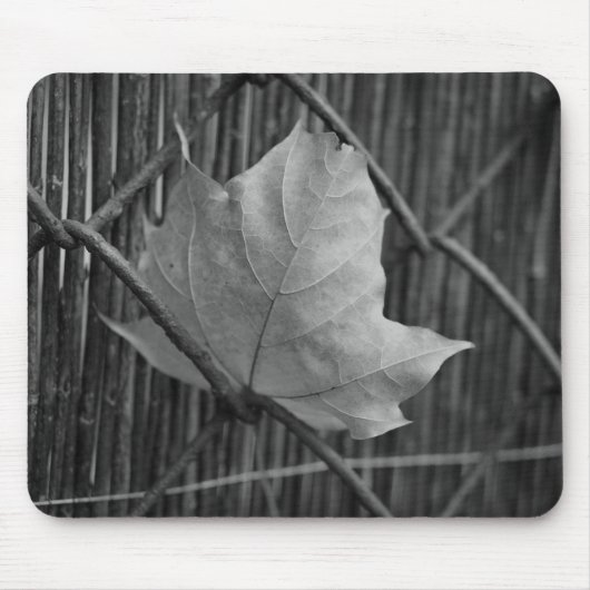 Tapis De Souris Feuille d'érable sèche - Mousepad (Devant)