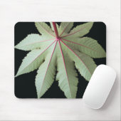 Tapis De Souris Feuille et tige (Avec souris)