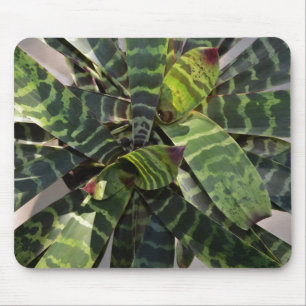 Tapis De Souris Feuille rayé d'usine de Vriesea Splendens