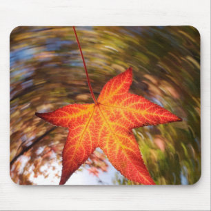 Tapis De Souris Feuille tombante d'un arbre en automne