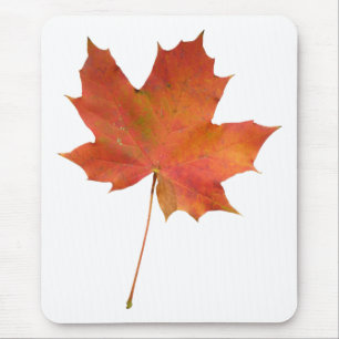 Tapis De Souris Feuille tombée 01