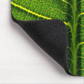 Tapis De Souris Feuille verte (Coin)