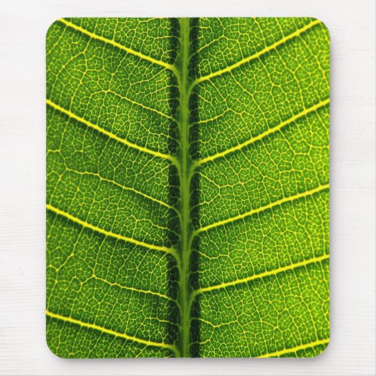 Tapis De Souris Feuille verte (Devant)