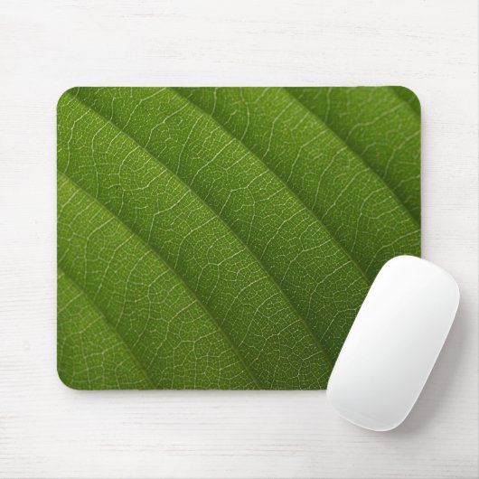 Tapis De Souris Feuille verte (Avec souris)