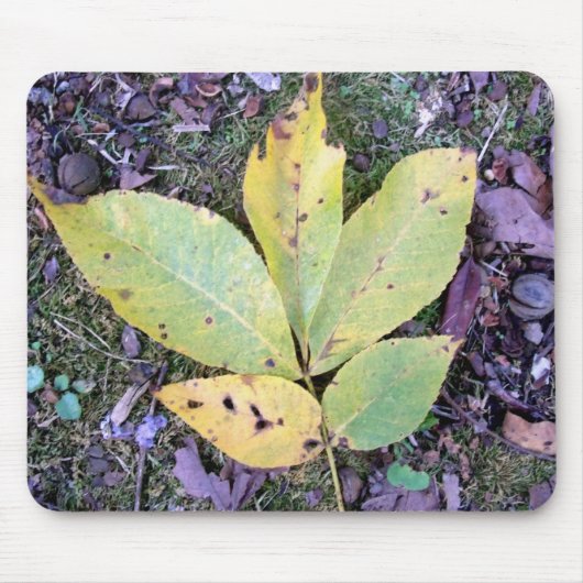 Tapis De Souris Feuilles automnales Mousepad (Devant)