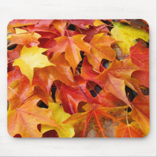 Tapis de souris Feuilles d'arbre d'automne Orange