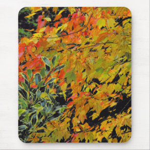 Tapis De Souris Feuilles d'automne